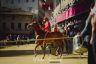 Palio 2 luglio 2019: la gallery della prima e della seconda prova